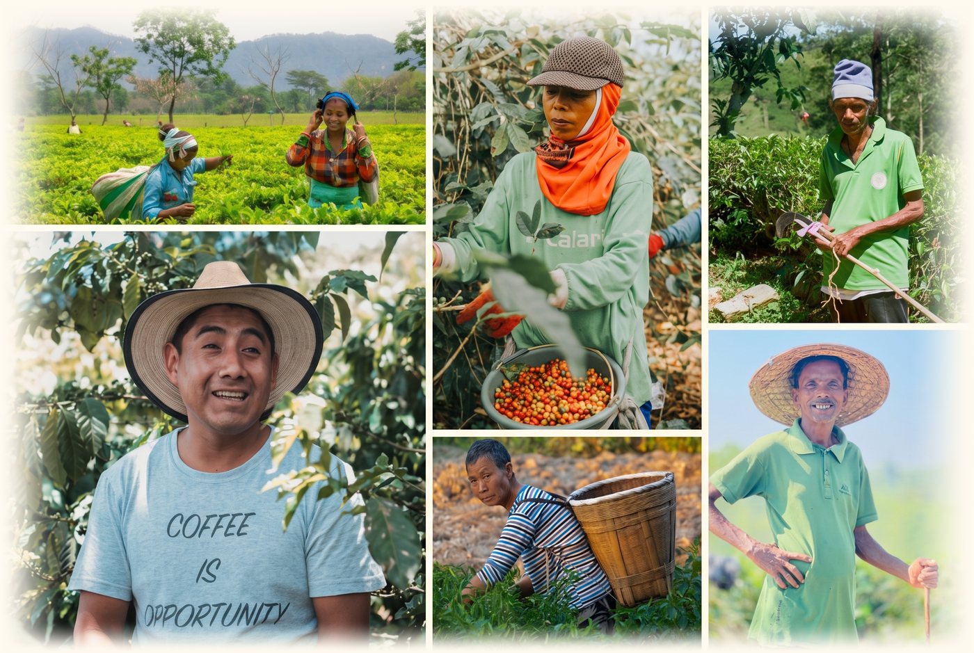 A mosaic of farmers at work in the fields and with their harvest.